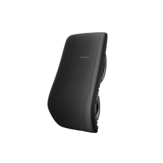 Maxis Manual - Gruppo schienale