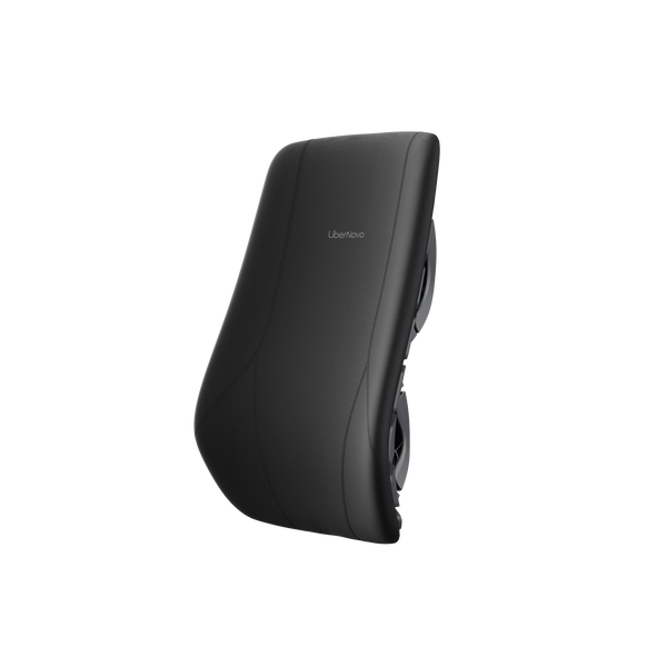 Maxis Manual - Gruppo schienale

