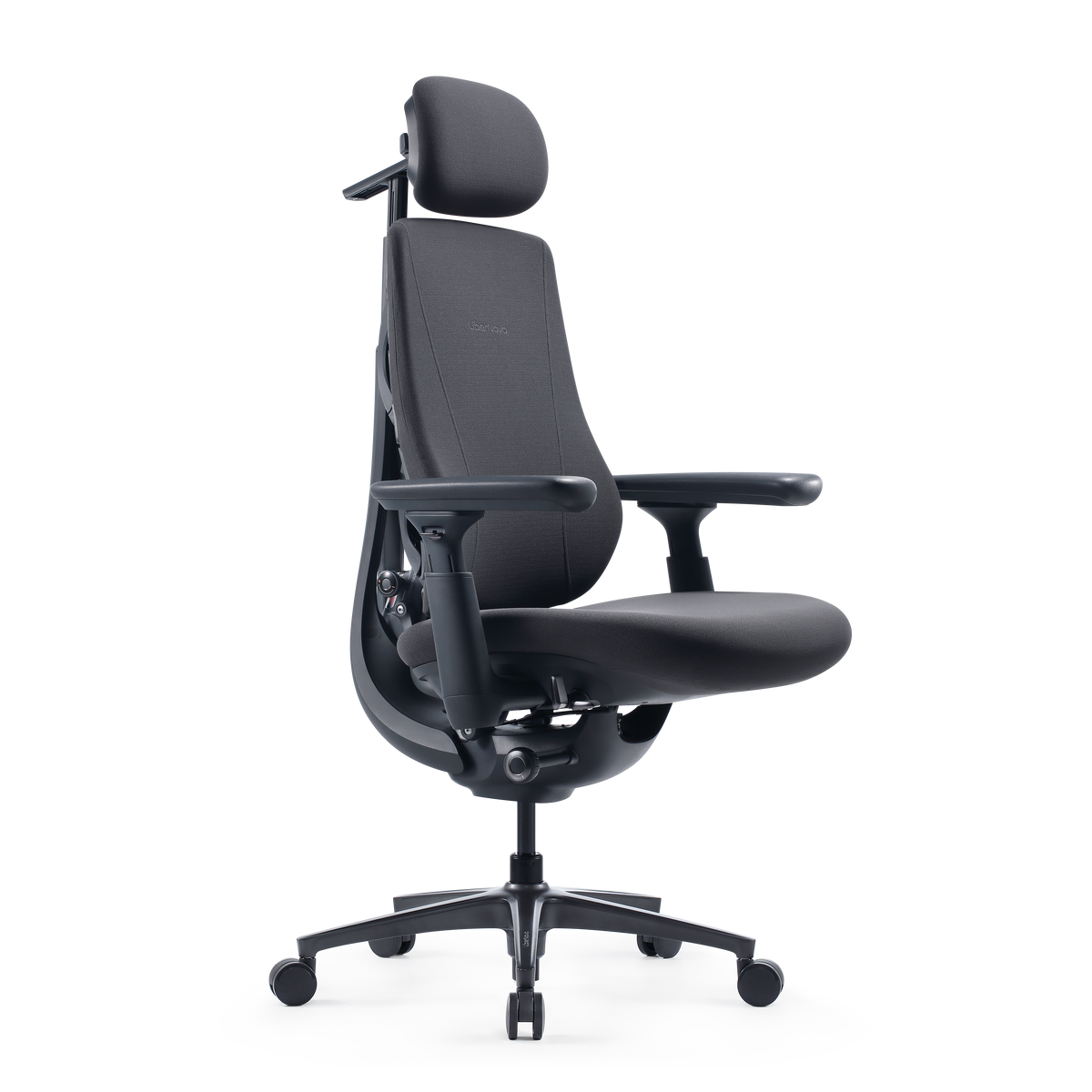 Sedia ergonomica dinamica LiberNovo Maxis
